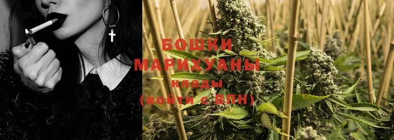 Марихуана OG Kush  Бердск 